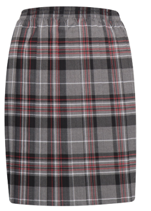 TARTAN CHECK ojo pleats skirt 寒冷 チェックスカート TARTAN CHECK ojo pleats skirt 寒冷 チェックスカート